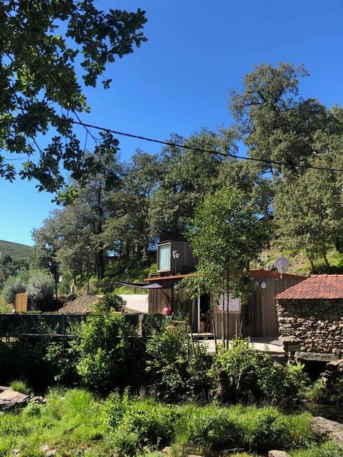 Ninho Da Avo Selvagem Villa Montalegre Exterior foto