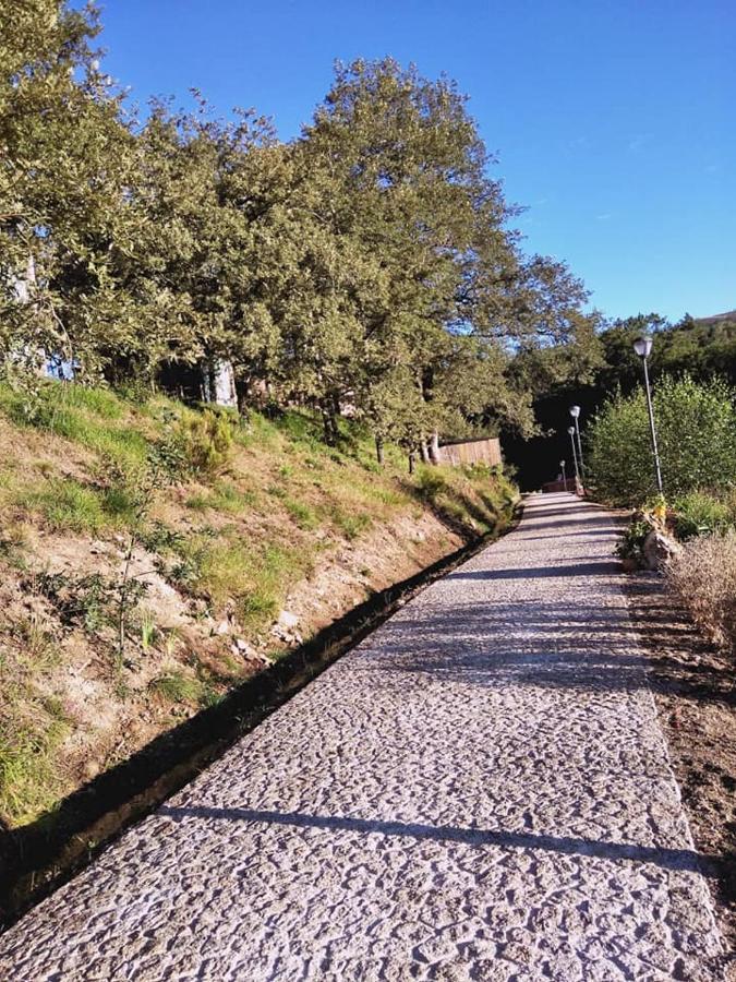 Ninho Da Avo Selvagem Villa Montalegre Exterior foto
