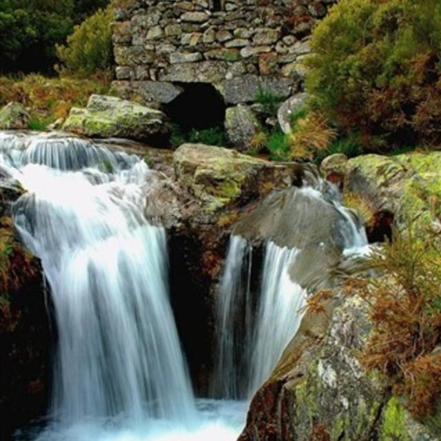 Ninho Da Avo Selvagem Villa Montalegre Exterior foto